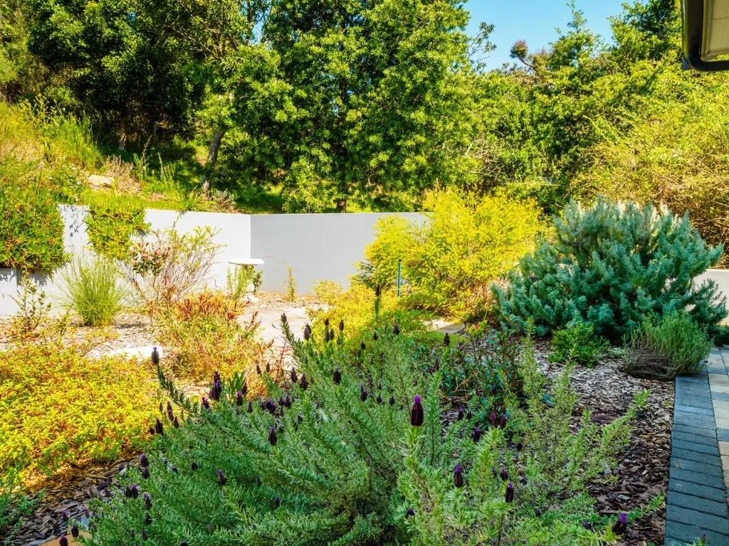 Lush garden with native plants, flowering shrubs, and white boundary wall