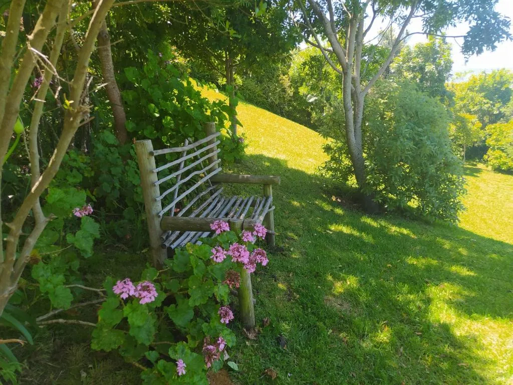 Wooden bench nestled among trees with pink flowers and lush green lawn