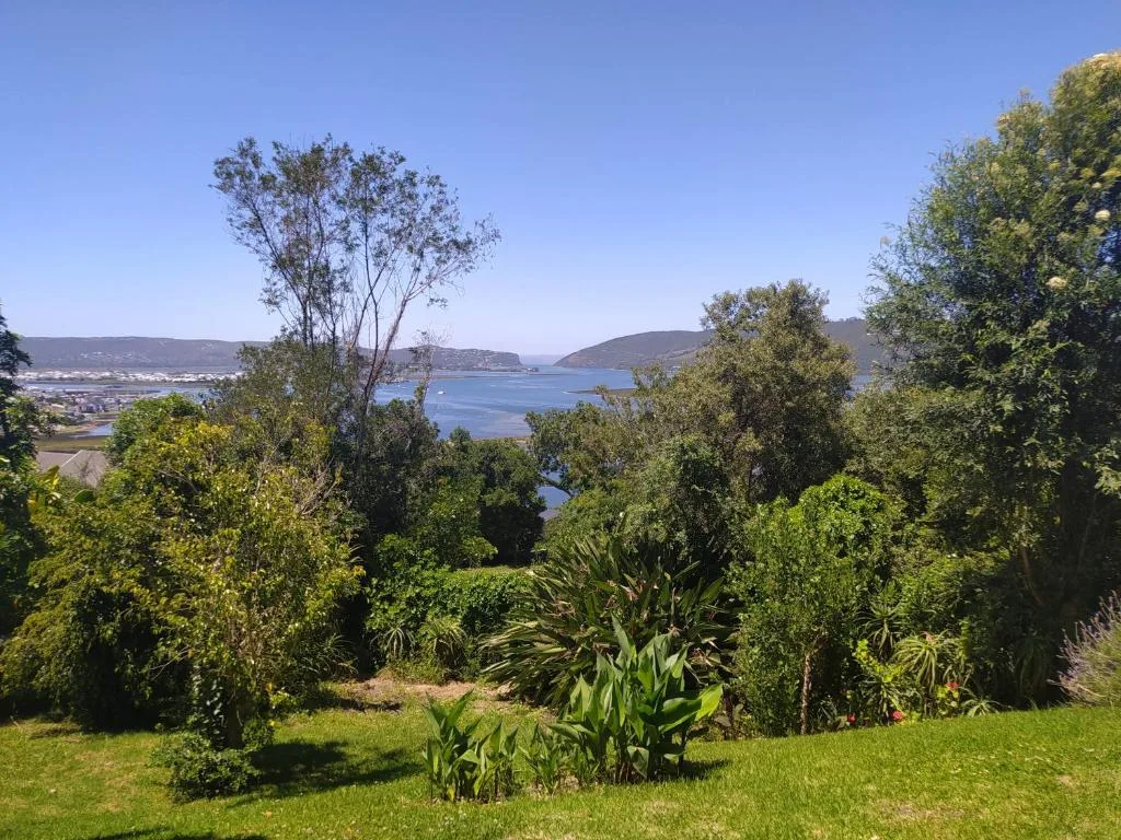 Scenic lagoon and mountain vista framed by lush garden trees