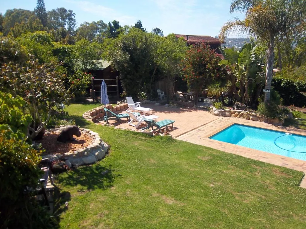 Blue swimming pool surrounded by manicured lawn and lush tropical garden vegetation