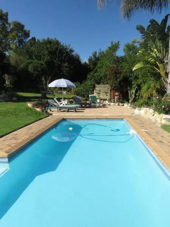 Rectangular swimming pool with wooden deck and lush garden surroundings