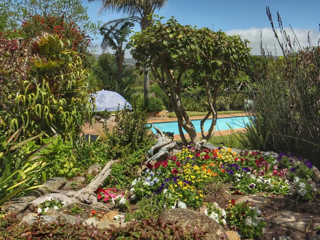 Lush garden with colorful flowers overlooking pool and mountains beyond