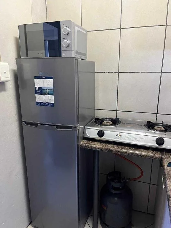 Kitchen corner with gray refrigerator, microwave, and two-burner stove