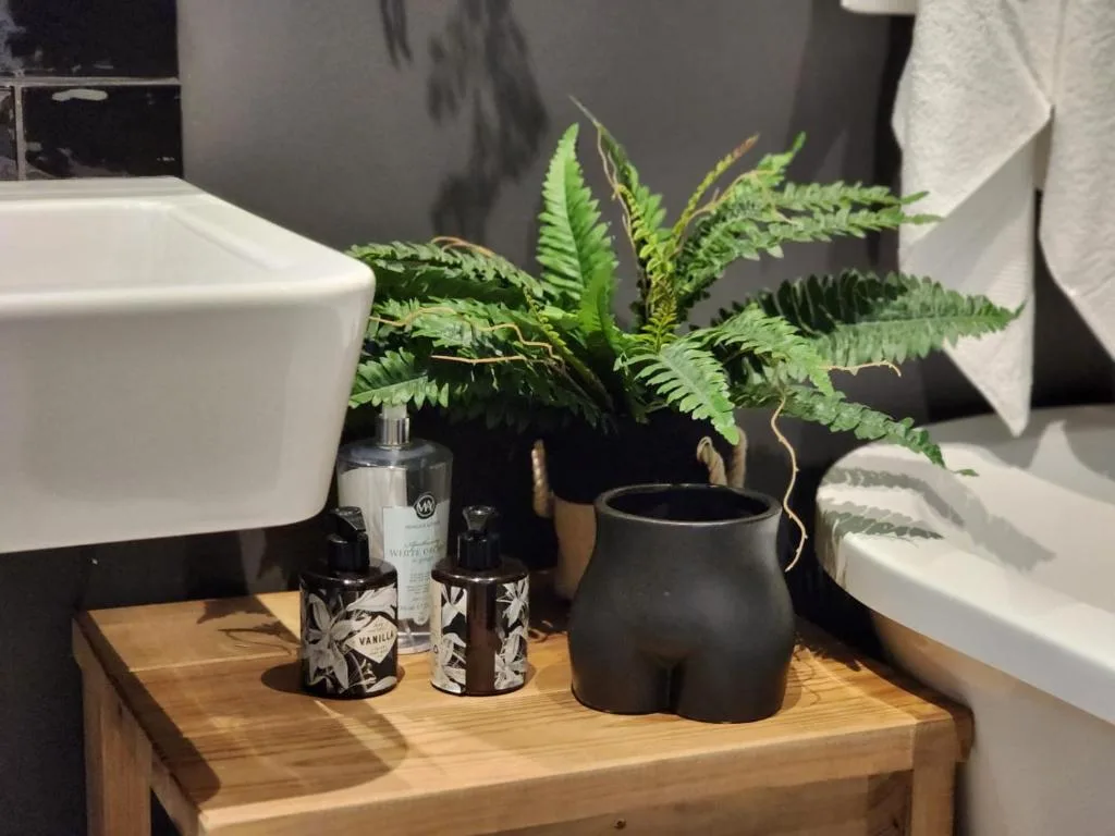 Modern bathroom vanity with potted fern, soap dispenser, and decorative accessories