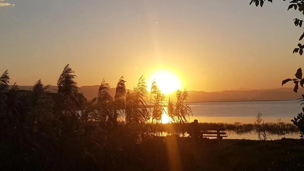 Golden sunset over Knysna Lagoon with reeds and mountains silhouetted