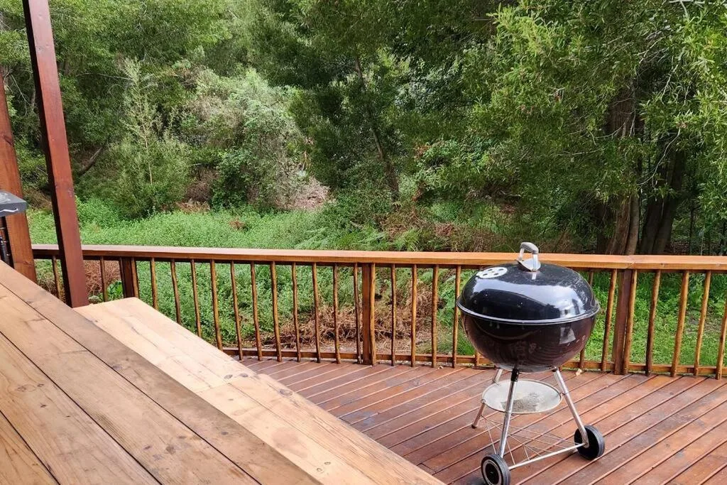 Wooden deck with braai grill overlooking lush garden vegetation