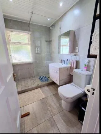 Modern bathroom with walk-in shower, white vanity, and toilet