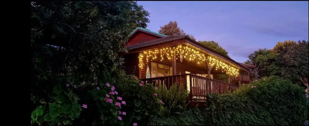 Wooden chalet with festive string lights and blooming flowers at dusk