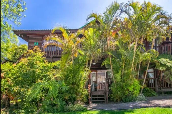 Wooden chalet with palm trees and lush garden landscaping in Knysna