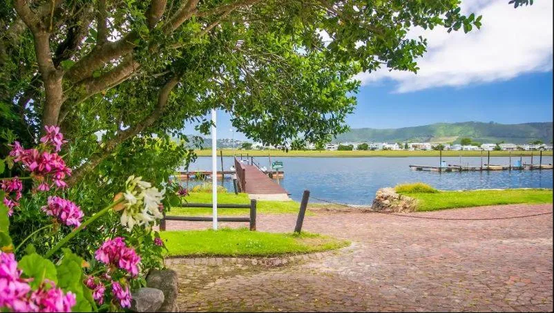 Lagoon waterfront view with flowering tree, dock, and mountains beyond