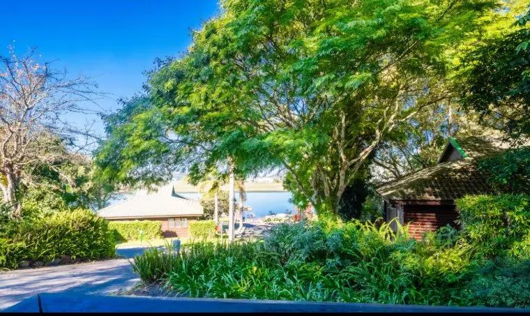 Scenic waterfront view of Knysna lagoon through mature trees and garden