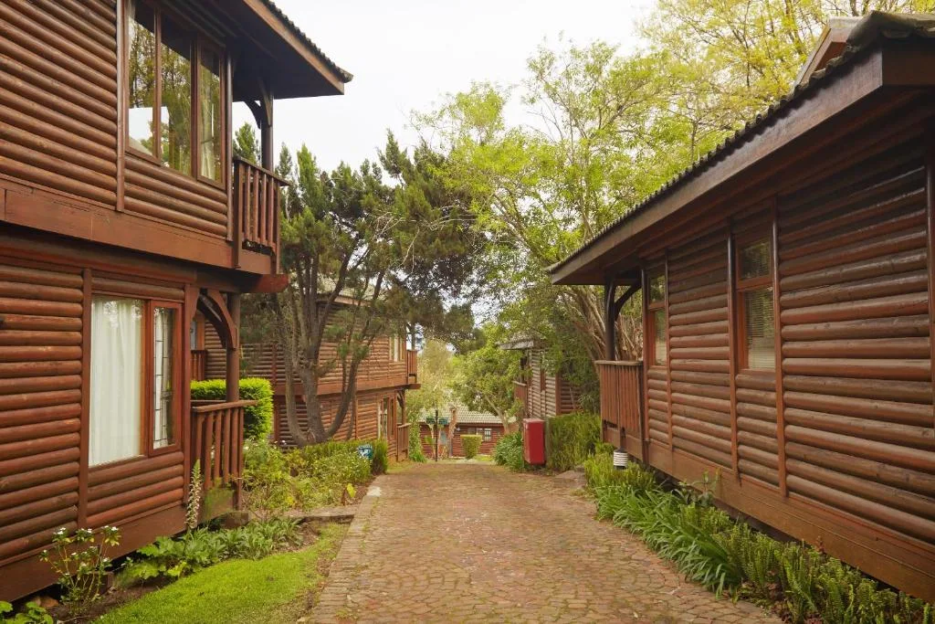 Wooden log cabin buildings with brick pathway and lush green surroundings