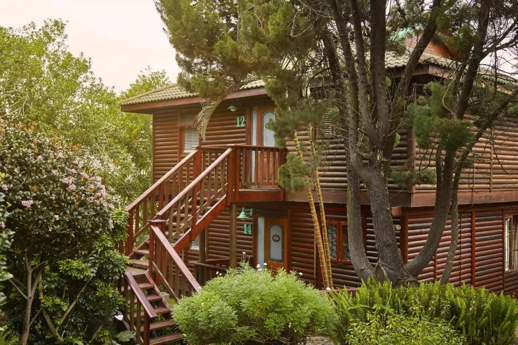 Log cabin with wooden deck and stairs surrounded by mature trees