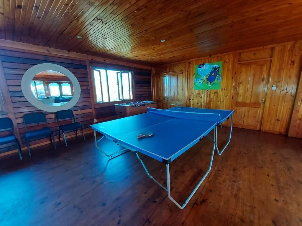 Wood-paneled recreation room with blue ping pong table and games