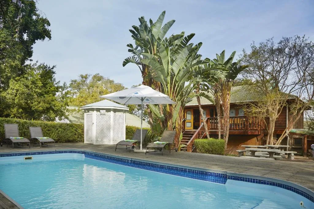 Swimming pool with wooden deck, umbrella, and wooden lodge building surrounded by trees
