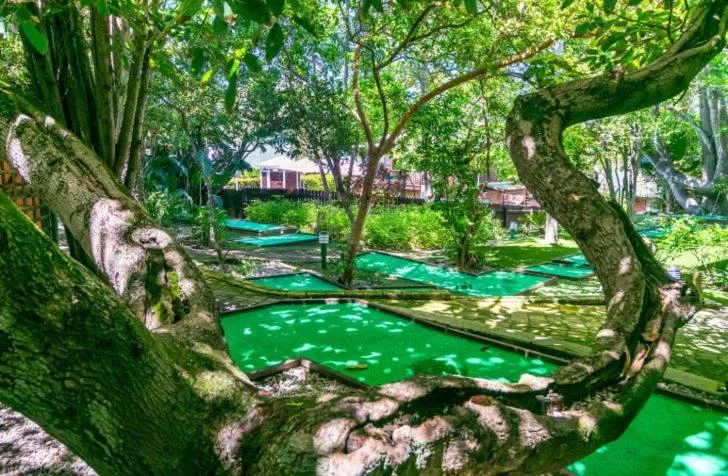 Mini golf course winding through shaded trees and green landscape