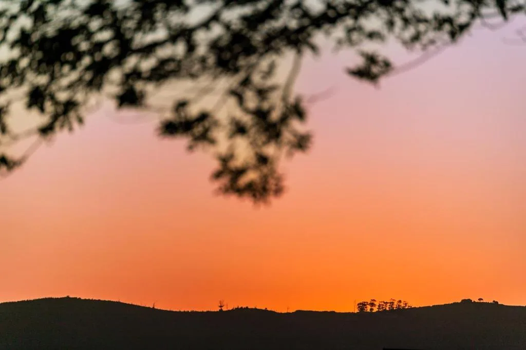 Stunning sunset over rolling hills with tree silhouettes framing the sky
