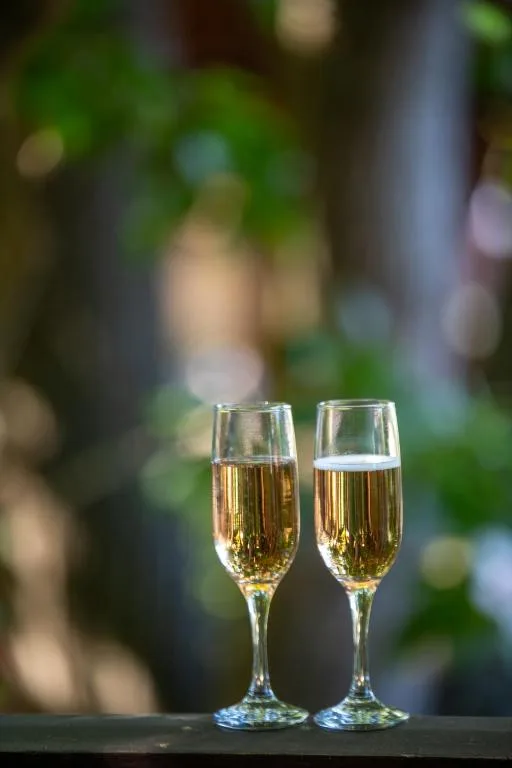 Two champagne flutes with sparkling wine in garden setting