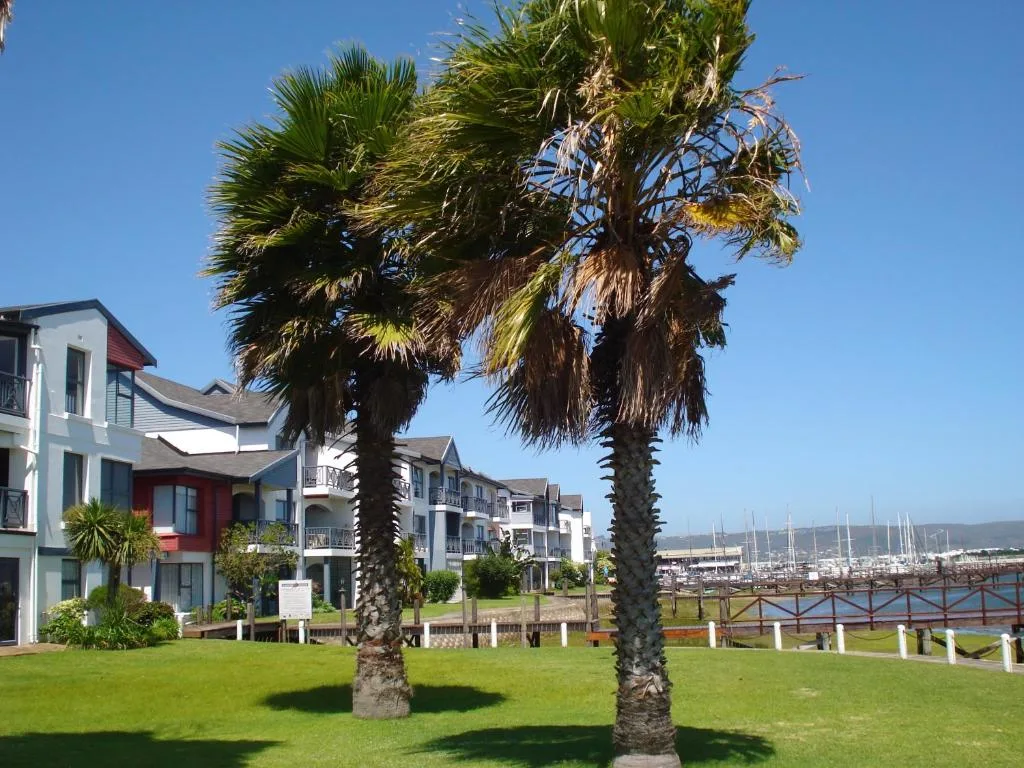 Waterfront apartment building with palm trees and marina view in Knysna