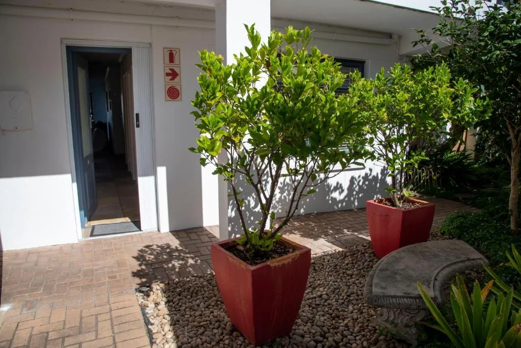 Modern white apartment entrance with potted plants and paved courtyard