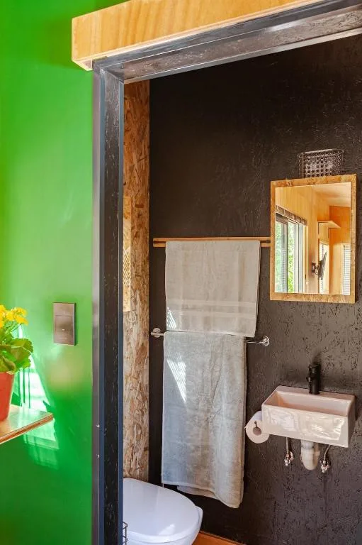 Modern bathroom with dark feature wall, wooden frame, white toilet, and wooden mirror