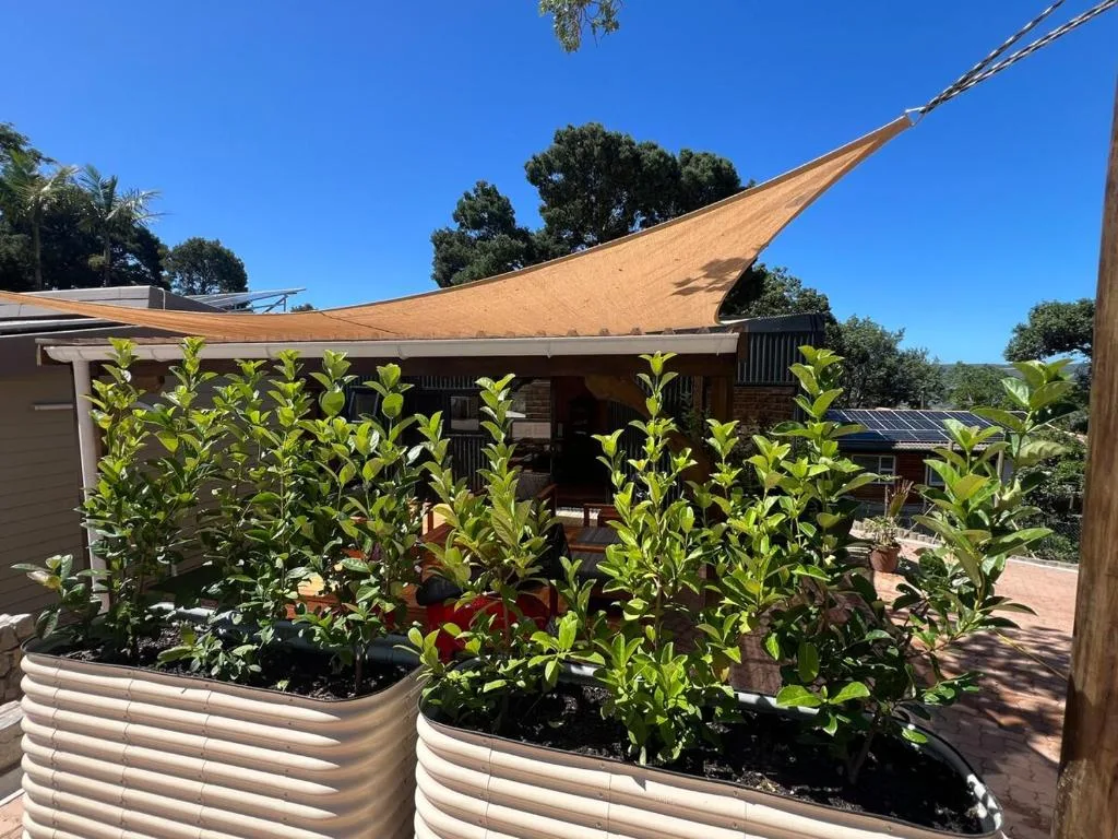 Shaded outdoor deck with raised garden beds and modern sail shade