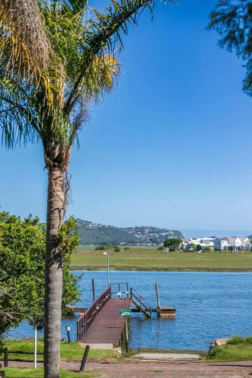Wooden jetty extending into calm lagoon waters with palm tree in foreground