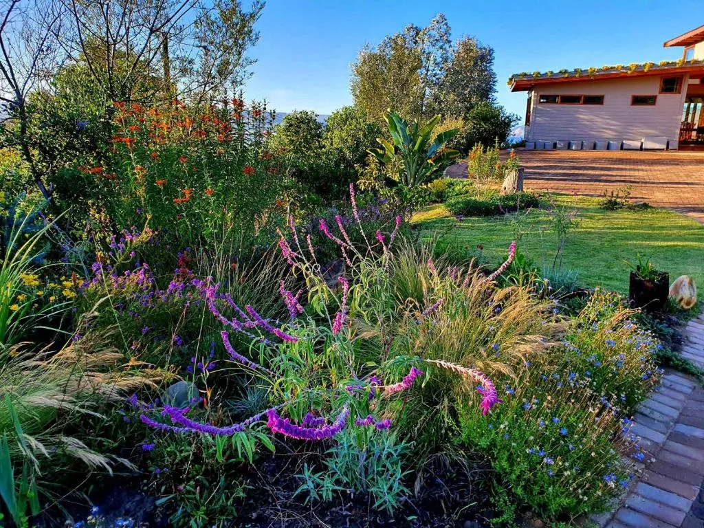 Vibrant garden with purple flowers and modern house with wooden deck