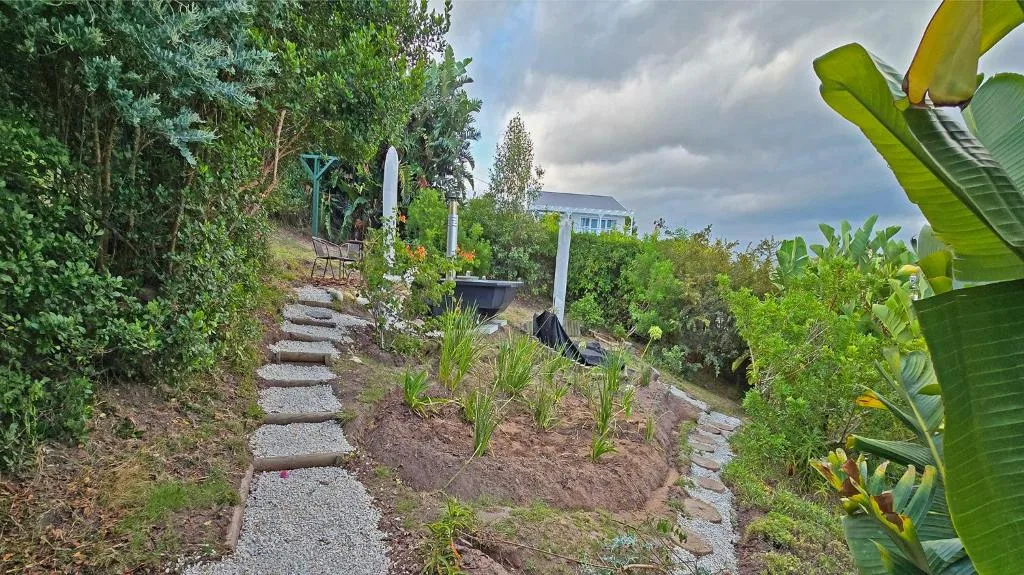 Lush garden pathway with stepping stones leading uphill toward property
