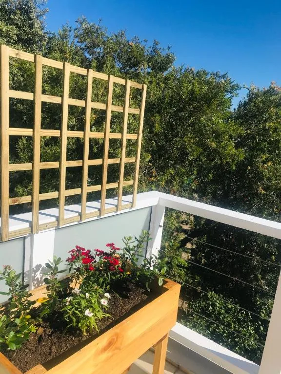Wooden lattice screen and planters with red flowers on sunny balcony