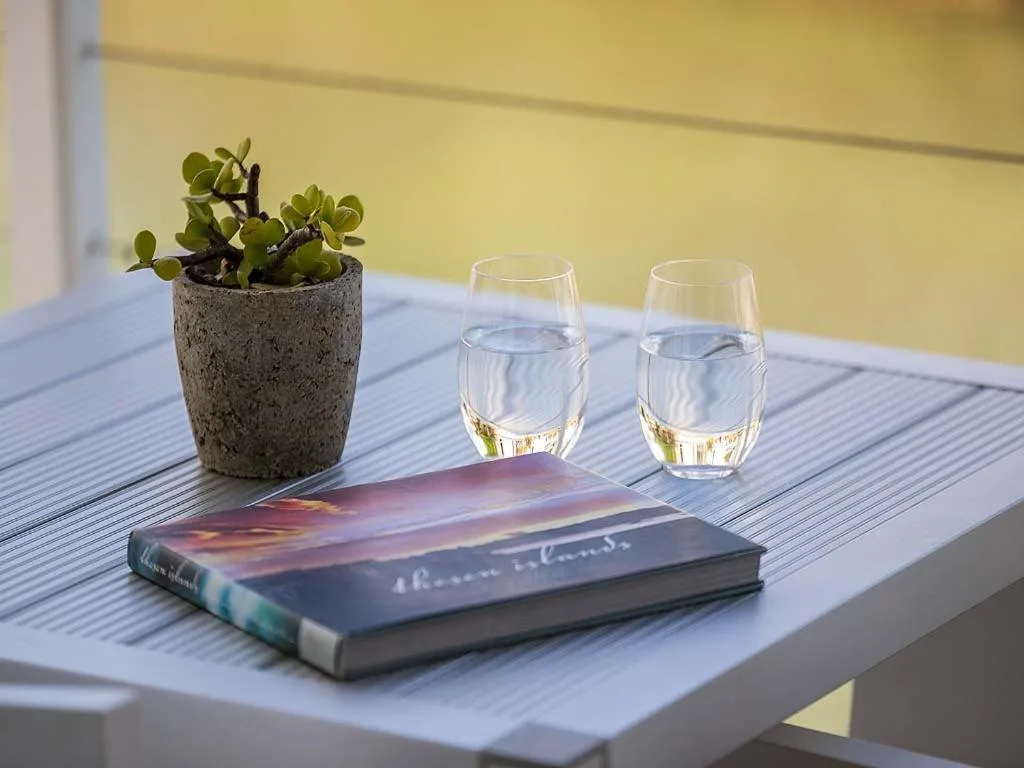 Outdoor table with water glasses, succulent plant, and book in sunlight