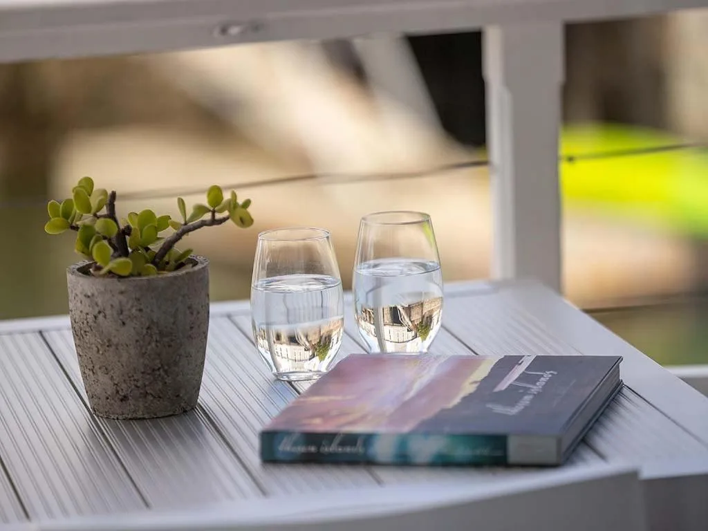 Outdoor deck table with succulent plant, water glasses, and books