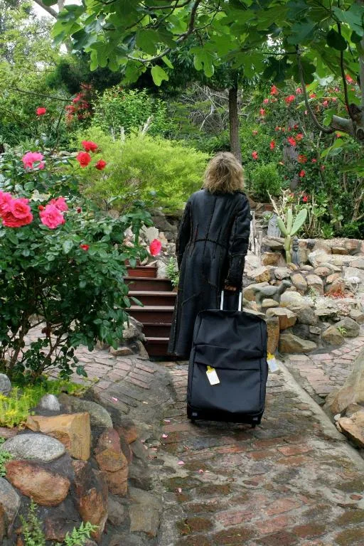 Lush garden pathway with blooming roses and stone steps leading uphill