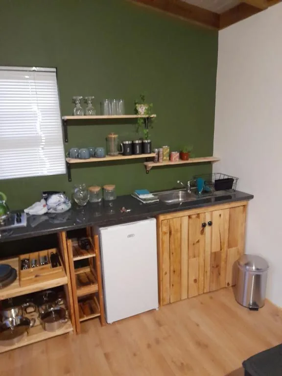 Modern kitchenette with green walls, wooden cabinetry, and floating shelves