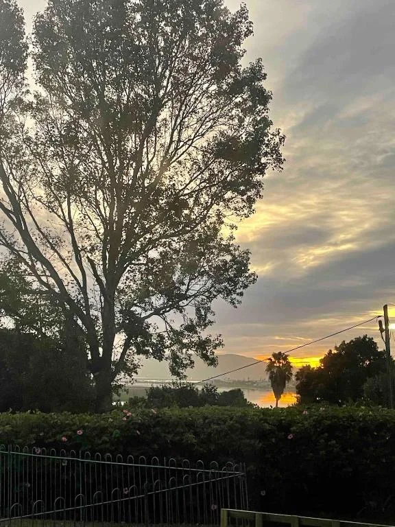 Sunset over lagoon with tall trees and golden sky reflection