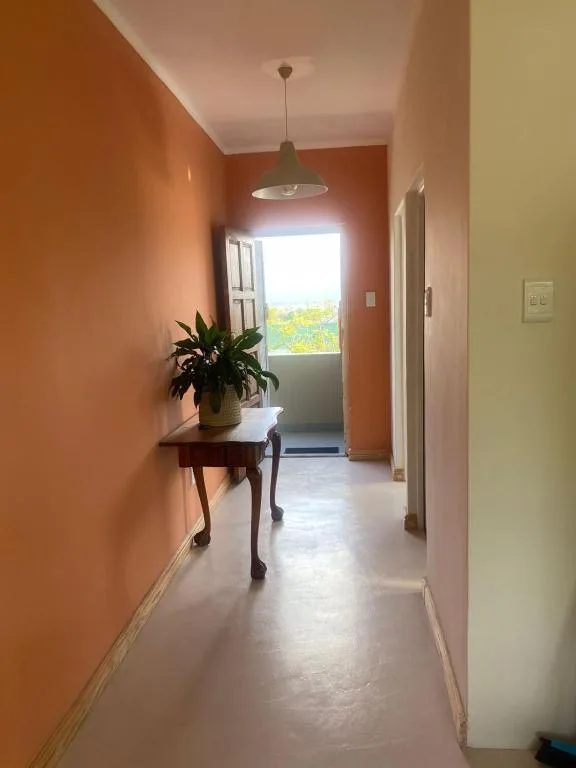 Hallway with orange walls, potted plant, pendant light fixture