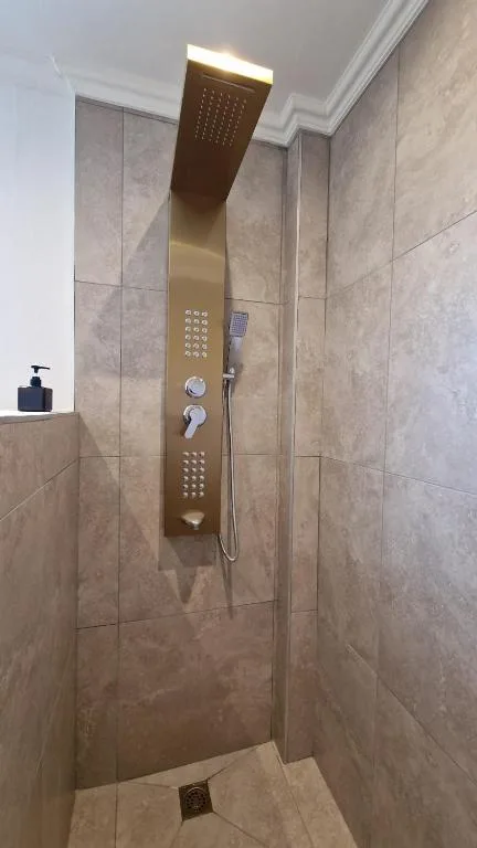 Modern walk-in shower with bronze rainfall showerhead and control panel