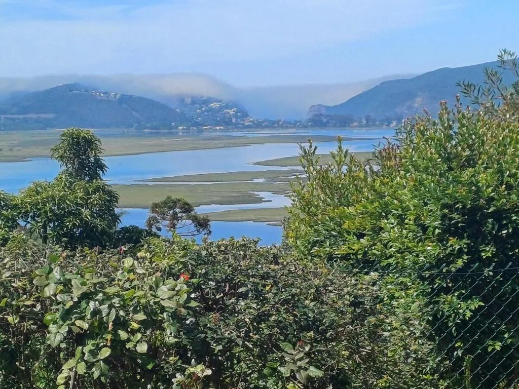 Scenic lagoon view with mountains, vegetation framing Knysna estuary landscape