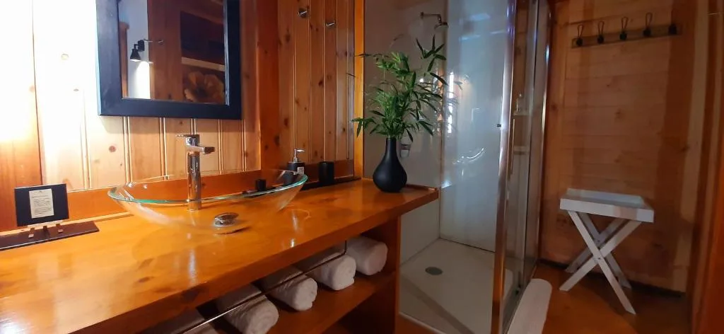 Modern bathroom with wooden vanity, double sink, and walk-in shower enclosure