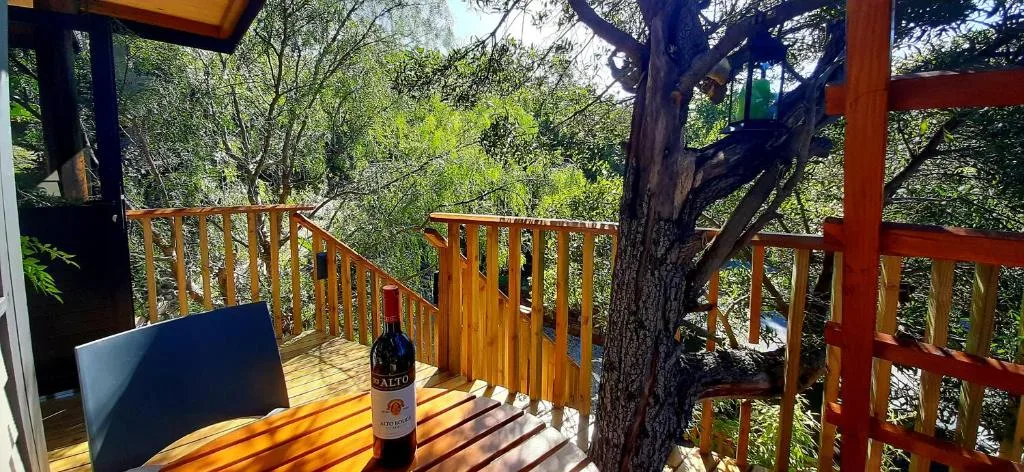 Wooden deck with railings overlooking lush trees and natural landscape