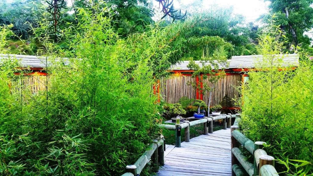 Wooden boardwalk pathway lined with lush green bamboo and native plants