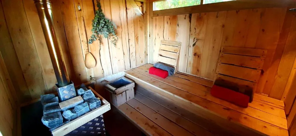 Wooden interior with cushioned seating and decorative hanging plants displayed