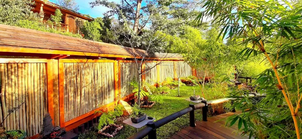 Modern wooden studio with orange trim nestled in lush garden landscaping
