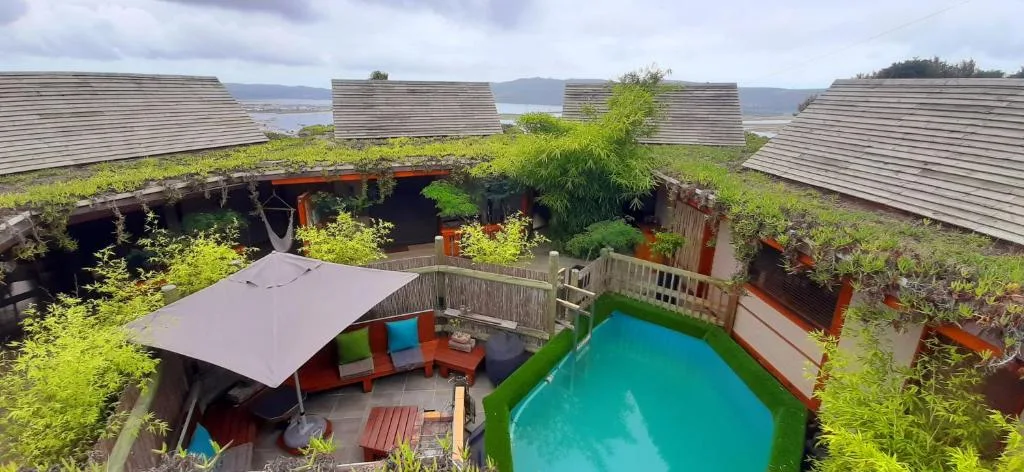 Turquoise swimming pool surrounded by lush green vegetation and modern architecture