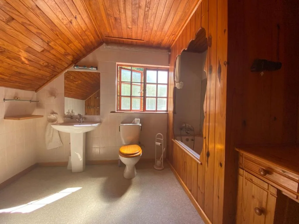 Spacious bathroom with wooden ceiling, pedestal sink, toilet, and shower enclosure