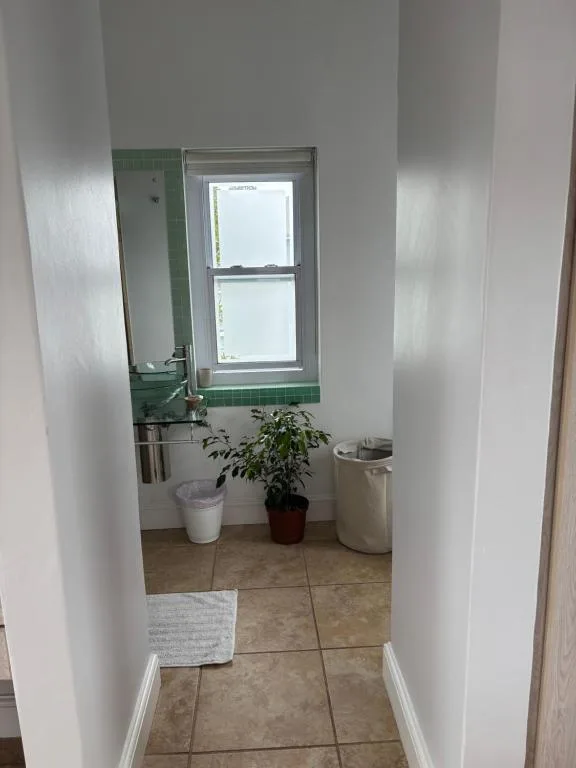 Bathroom with window, sink, toilet, and potted plants on shelf