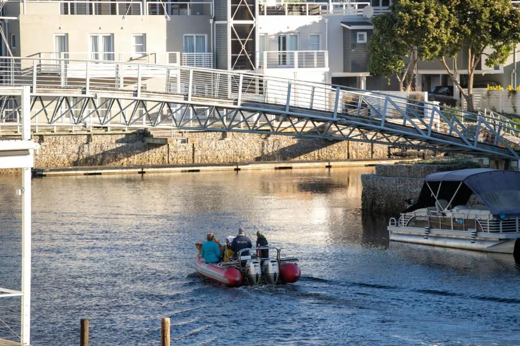 Waterfront canal view with modern bridge, boats, and residential buildings