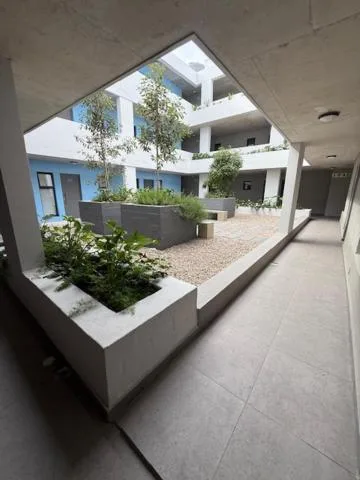 Interior courtyard with potted plants and modern architectural design elements