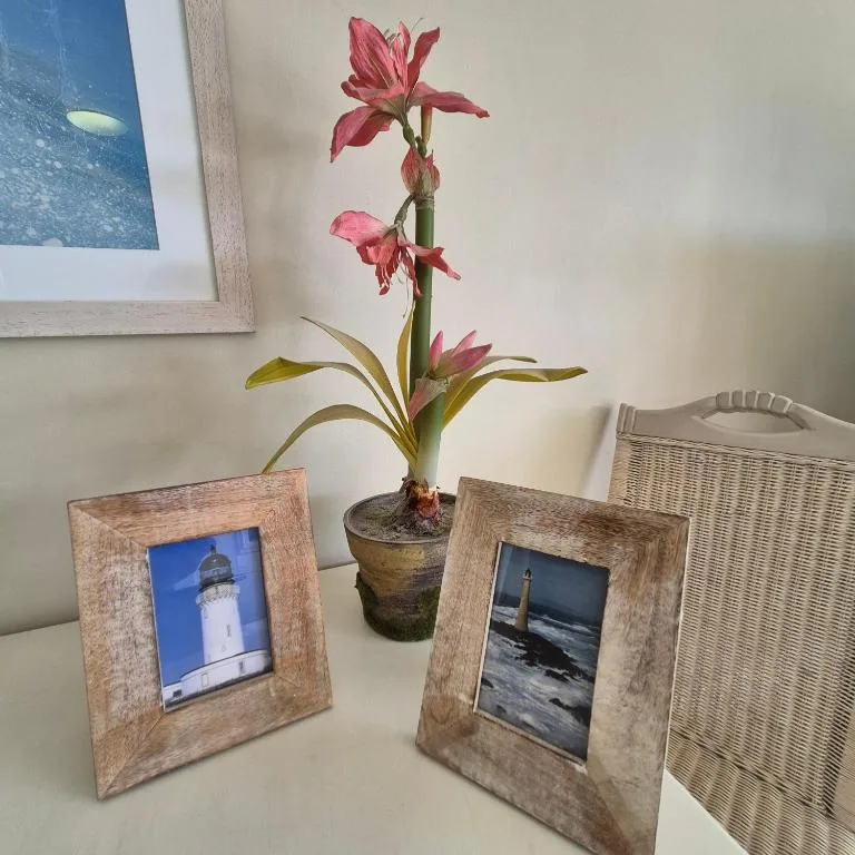 Decorative potted pink flower with framed lighthouse photos on shelf
