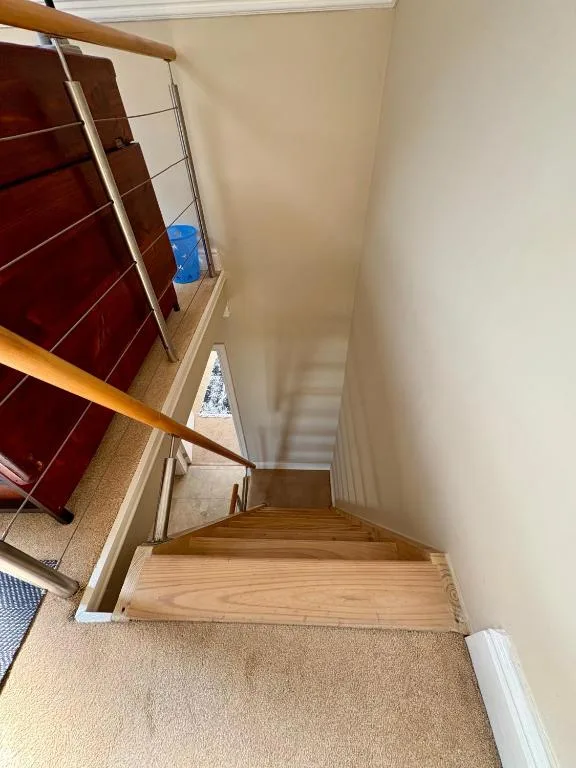 Wooden staircase with metal railing and carpet steps inside property